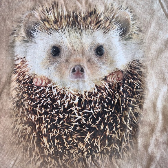 3 for $20/ The Mountain HedgeHog Shirt (M) - Picture 2 of 4